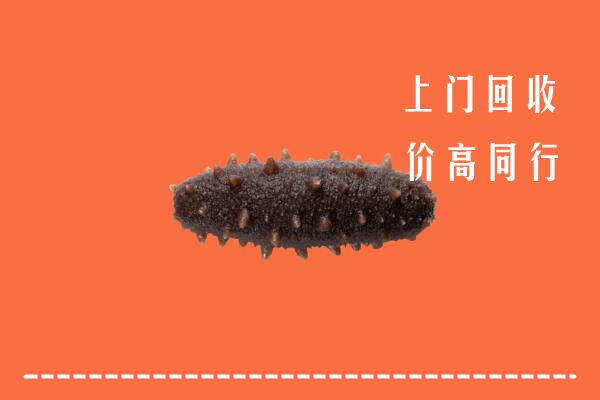 六枝特区高价回收海参