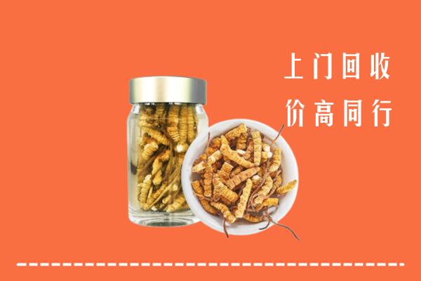 六枝特区回收冬虫夏草