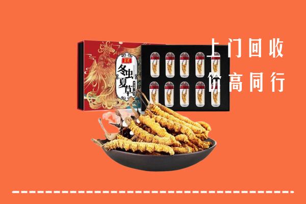 六枝特区回收虫草